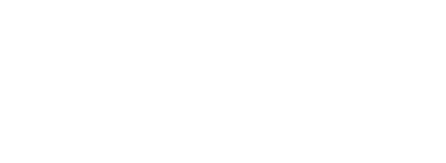 PORCELANITE logo